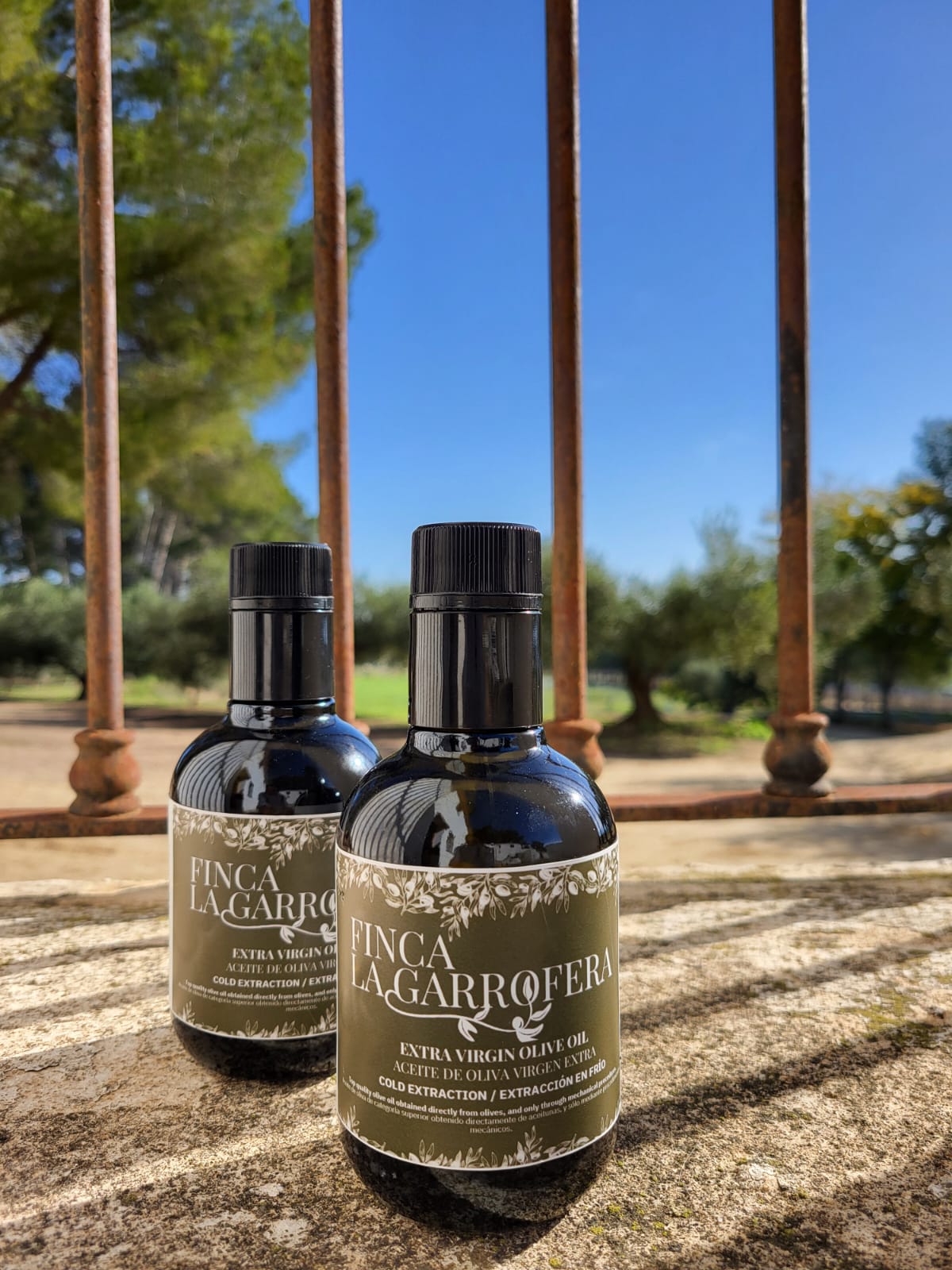 AOVE La Garrofera 250ML